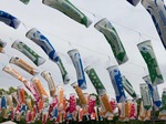 IMG_4416.jpeg