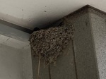 IMG_4615.jpeg