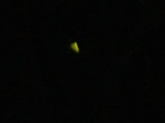 IMG_4616.jpeg