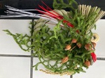 IMG_5685-3206c.jpeg