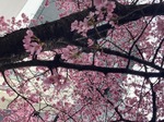 IMG_5961.jpeg