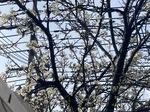 IMG_6034.jpeg