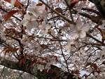 IMG_6043.jpeg