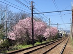 IMG_6046.jpeg