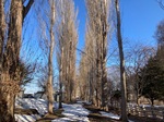 IMG_6085.jpeg