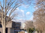 IMG_6086.jpeg