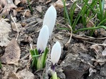 IMG_6153-64921.jpeg