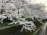 IMG_6197.jpeg