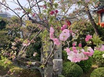 IMG_6198.jpeg