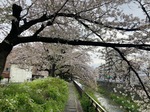 IMG_6208.jpeg