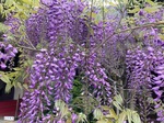 IMG_6263.jpeg