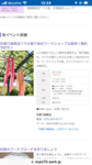 IMG_6385.png
