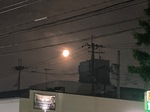 IMG_6465.jpeg