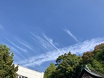 IMG_6467.jpeg