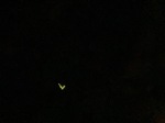 IMG_6499.jpeg