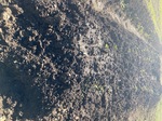 IMG_6852.jpeg