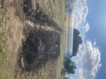 IMG_6853.jpeg