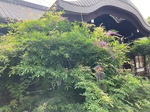 IMG_6893.jpeg