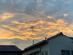 IMG_6899.jpeg