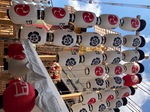 IMG_6940.jpeg