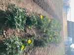 IMG_7065.jpeg