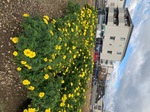 IMG_7336.jpeg