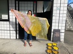 IMG_7338.jpeg