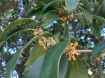 IMG_7382.jpeg