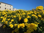IMG_7415.jpeg