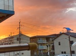 IMG_7470.jpeg