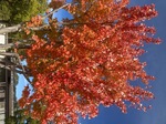 IMG_7505.jpeg