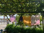 IMG_7515.jpeg