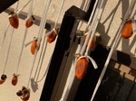IMG_7657.jpeg