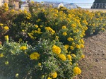 IMG_7659.jpeg