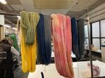 IMG_7728.jpeg