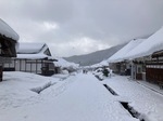 IMG_8003.jpeg