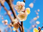 IMG_8100.jpeg