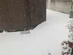 IMG_8103.jpeg