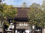 IMG_8145.jpeg