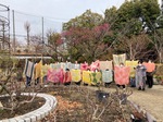 IMG_8175.jpeg
