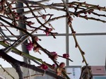 IMG_8191.jpeg