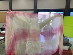 IMG_8305-c7207.jpeg