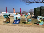 IMG_8378.jpeg