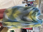 IMG_8479.jpeg