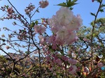 IMG_8593.jpeg