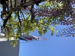 IMG_8622.jpeg