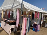 IMG_8677.jpeg