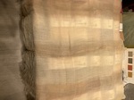 IMG_8710.jpeg