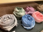 IMG_8773-8df28.jpeg