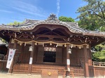 IMG_8776.jpeg